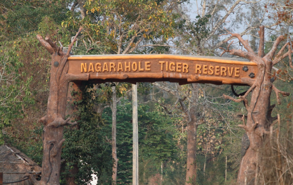 Complete Guide on Nagarhole Safari