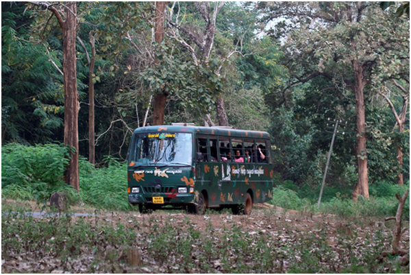 Nagarhole Safari Costing 