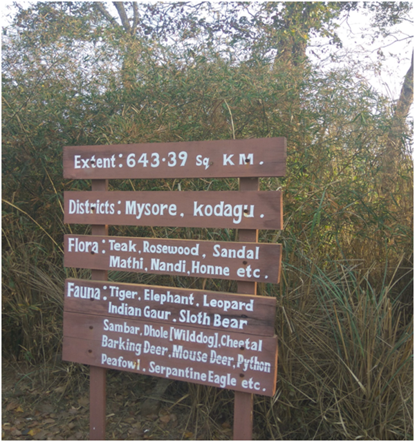 safari while in the Nagarhole wildlife safari zone 