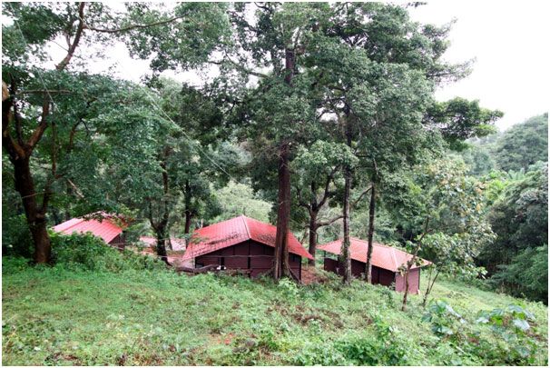 Booking For Home Stay Guest House Coorg Nagarhole 