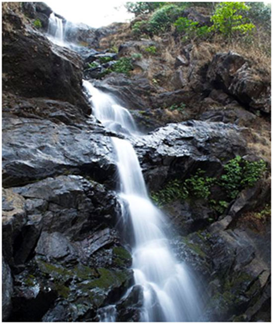 Iruppu falls 