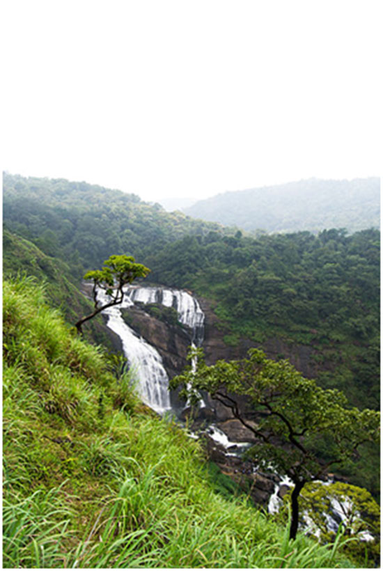 Mallali falls This waterfall is formed by the Kumaradhara River flowing down the Pushpagiri hills.One can reach this place from Somwarpet through jeep or trek through the forest. It is best to visit this place in the months July through to December as the water is in its full force and quite marvellous to behold.
The trek to the falls is quite easy, andsmall, mesmerising streams of water on the way will carry you through to the actual falls that are a sight for sore eyes.
	
Chelavara falls
